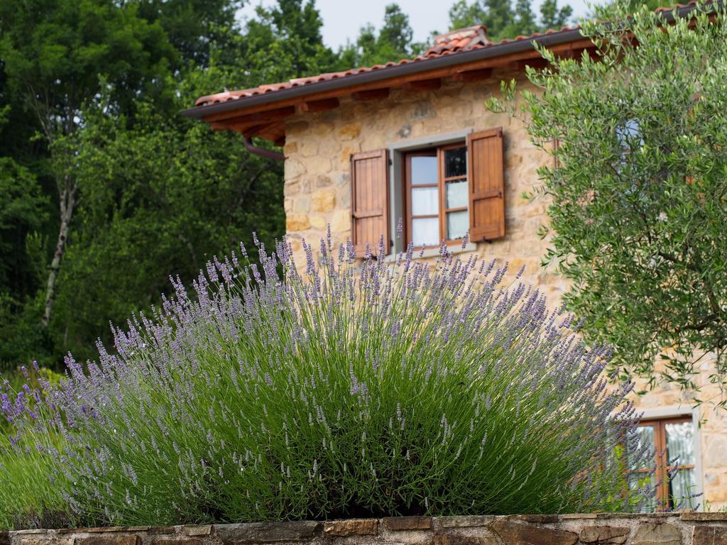 Bed and Breakfast Il Giardino Di Rosmarino Pontremoli Zewnętrze zdjęcie